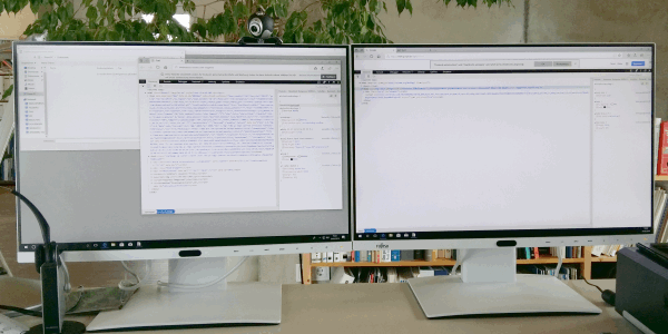 Programm entwickeln lassen