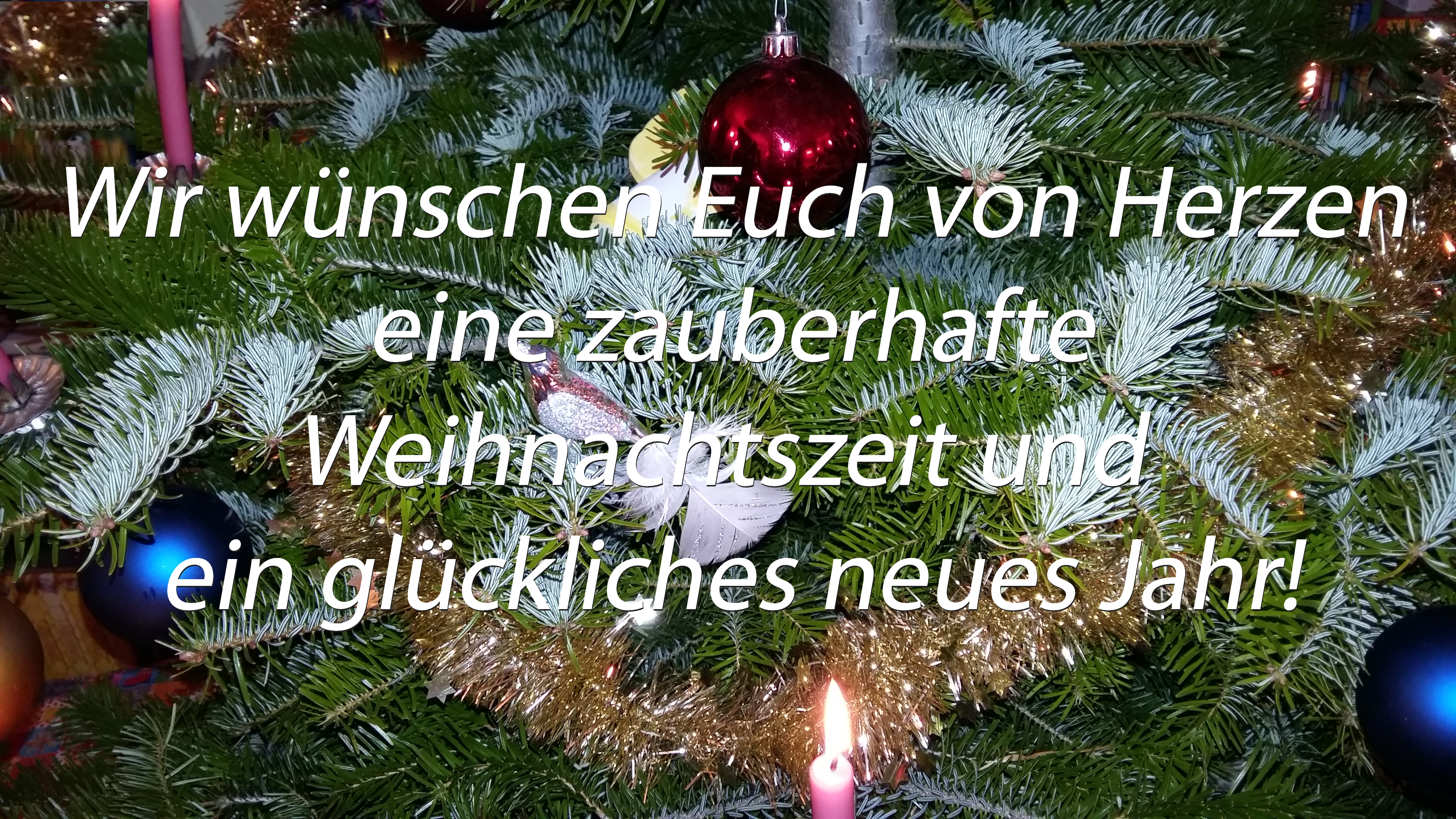 Professionelle Softwareentwicklung